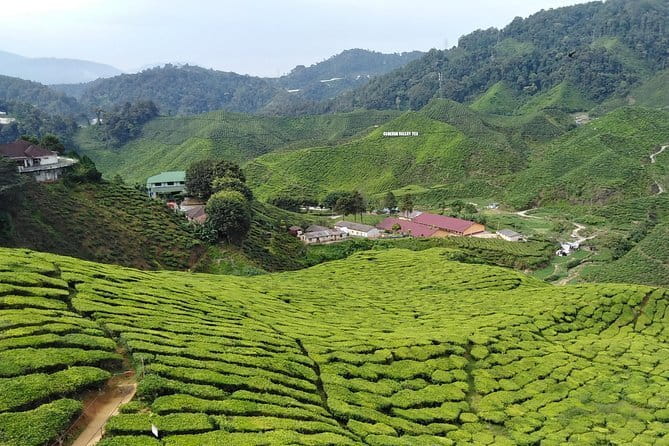 2 Days Private Vehicle With Driver -Explore Malaysia By Your Own Plans - KL Tower and Bukit Nanas