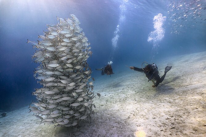(2 Dives) Discover Scuba Diving Kota Kinabalu - Learning the equipment at Sapi House Reef