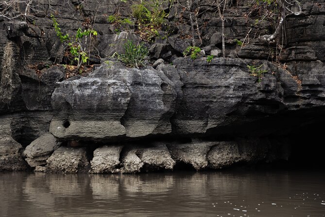 2 Hours Private Mangrove Tour Langkawi - Eagle watching and the karst cliffs