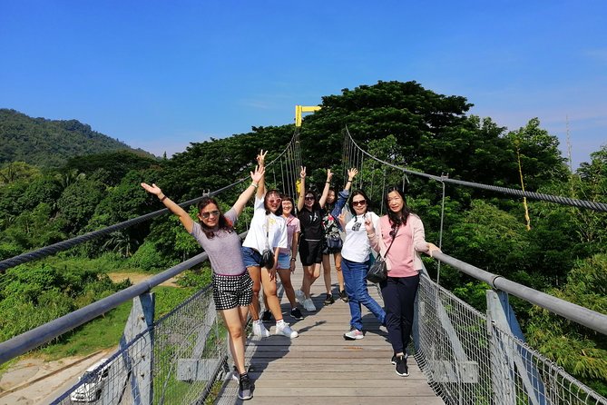 2d1n Kinabalu Park & Poring Canopy Walk & Desa Cow Farm Tour - From Kota Kinabalu to Sabah’s mountain roads
