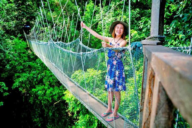 2d1n Kinabalu Park & Poring Canopy Walk & Desa Cow Farm Tour - The 175-meter canopy walkway above the forest