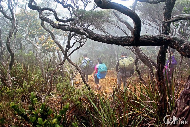 2d1n Mount Kinabalu Via Ferrata - Walk The Torq - Day one: from Kota Kinabalu to Pendant Hut
