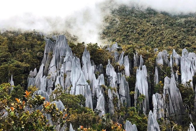 3 Days 2 Nights Unesco World Heritage Mulu 4 Showcaves - Key points to know before booking