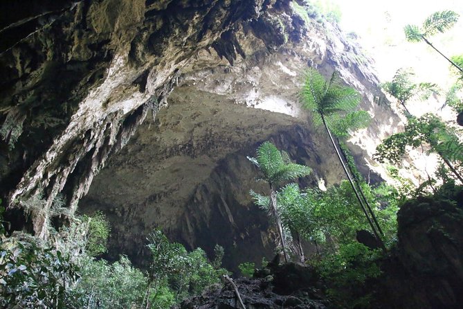3 Days 2 Nights Unesco World Heritage Mulu 4 Showcaves - Who should book this Mulu tour