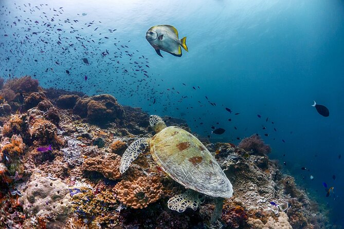 (3 Days) PADI Open Water Diver Course Kota Kinabalu - Weather, cancellations, and the small print