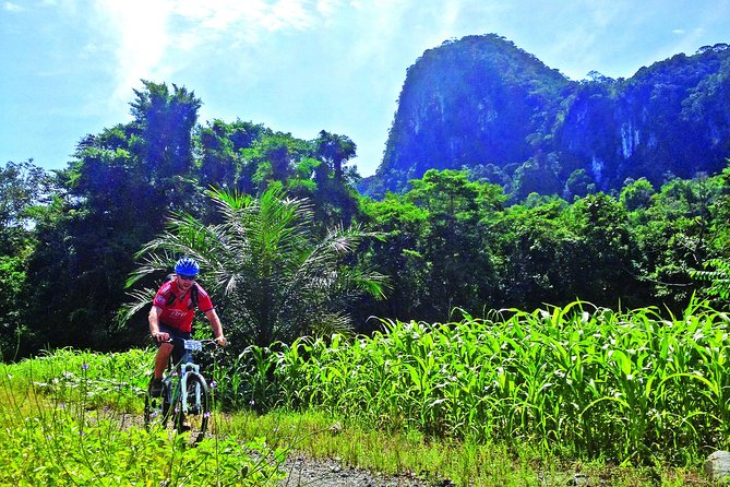 3-in-1 Ultimate Borneo Expedition Adventure - Key points before you book