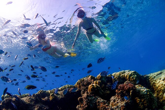 3 Semporna Islands Tour with Snorkel or Diving Experience - Timba-Timba: white sand and the first water session