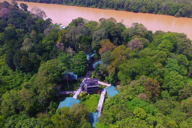 3D2N Sukau Wildlife Experience - Why the Kinabatangan River makes this trip special