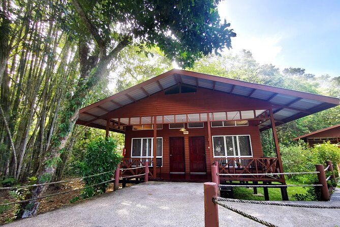 3D2N Sukau Wildlife Experience - Day 2: A 6 AM start at Kelenanap Ox-Bow Lake