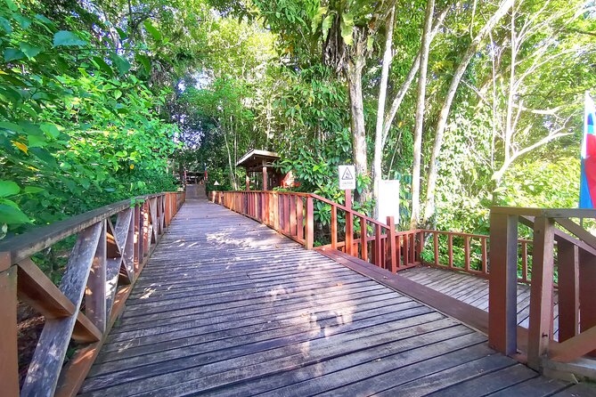 3D2N Sukau Wildlife Experience - Borneo Nature Lodge: simple rooms beside the forest