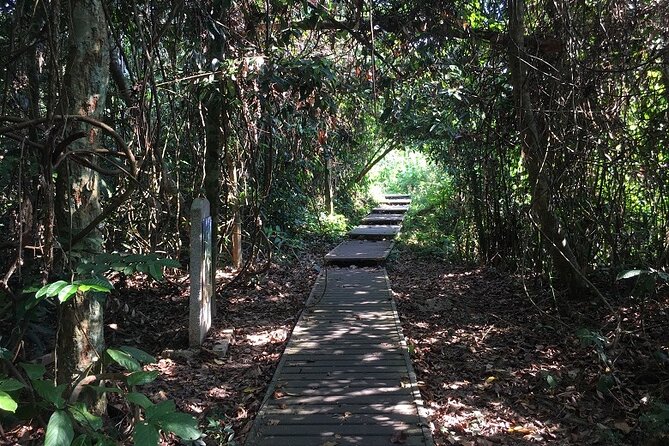 4-Day Jungle Experience in Taman Negara from Kuala Lumpur - From Kuala Lumpur to the rainforest by boat