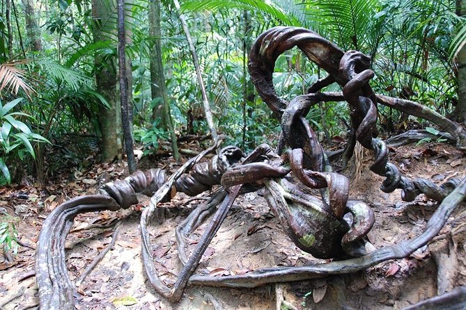4-Day Jungle Experience in Taman Negara from Kuala Lumpur - A quieter Day 3 with rapids and a Batek settlement