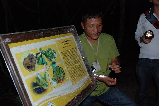 4-Day Jungle Experience in Taman Negara from Kuala Lumpur - Teresek Hill and the view over Taman Negara