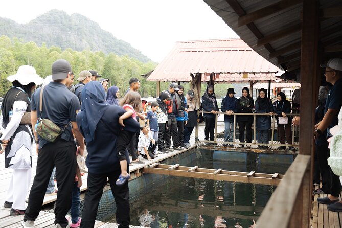 5 Hours Mangrove Boat Tour in Langkawi - A 20-minute beach stop on the Andaman Sea