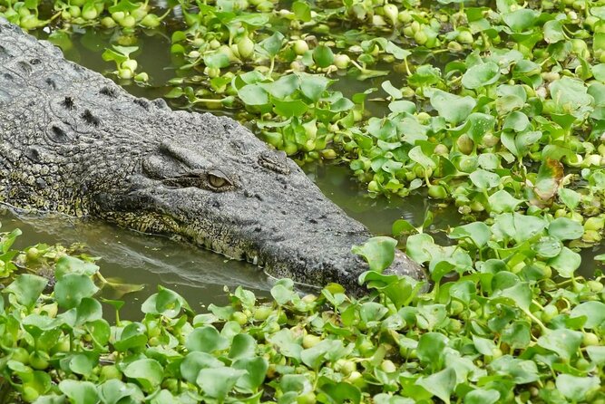 Adventure Combo - What your 90 minutes at Crocodile Adventureland looks like