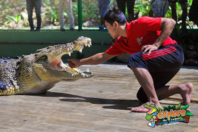 Adventure Combo - The large crocodile education presentation