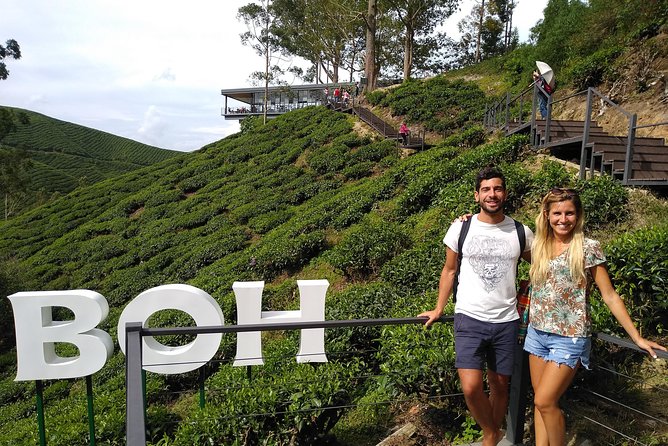 Amazing Cameron Highland Day Tour From Kuala Lumpur - Raju Hill Strawberry Farm keeps the visit hands-on