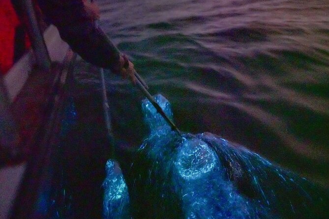 Amazing Fireflies With Blue Tears Watching & Kuala Selangor Tour - From Kuala Lumpur to Kuala Selangor after dark