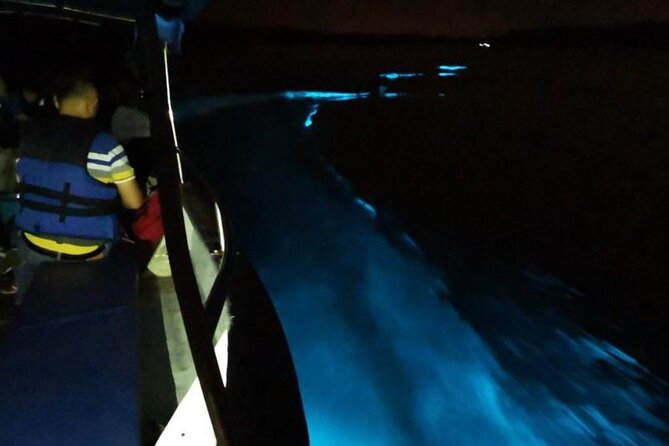 Amazing Fireflies With Blue Tears Watching & Kuala Selangor Tour - The Selangor River firefly cruise