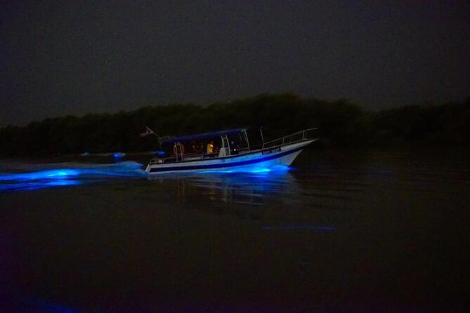 Amazing Fireflies With Blue Tears Watching & Kuala Selangor Tour - Guide quality can shape the whole evening