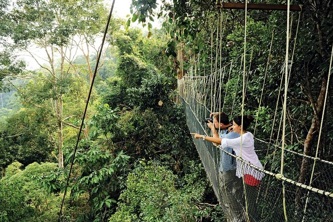 Amazing Taman Negara Day Trip from Kuala Lumpur Including Lunch - Why this Taman Negara day trip is worth considering