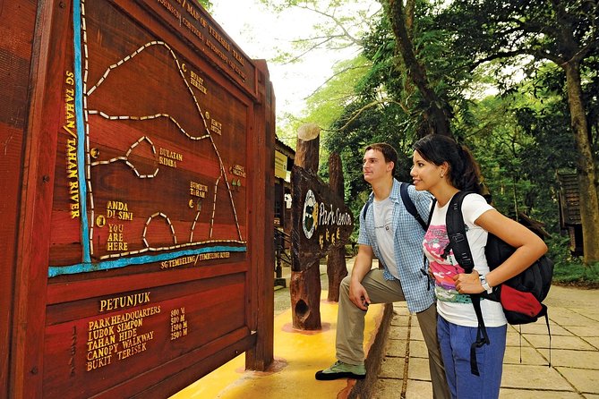 Amazing Taman Negara Day Trip from Kuala Lumpur Including Lunch - Seeing Taman Negara from the canopy