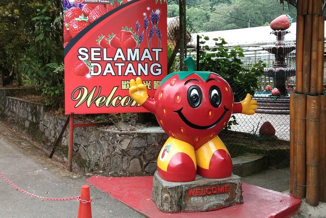 Batu Caves and Genting Highland Tour - Four hours around the Genting cable car