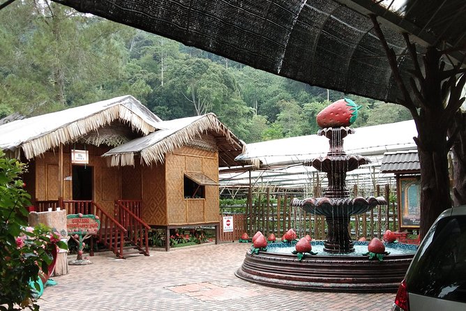 Batu Caves and Genting Highland Tour - Why private transport changes the day