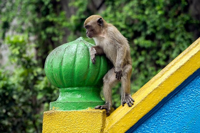Batu Caves and Watching Fireflies in Kuala Selangor - Why this half-day outing works