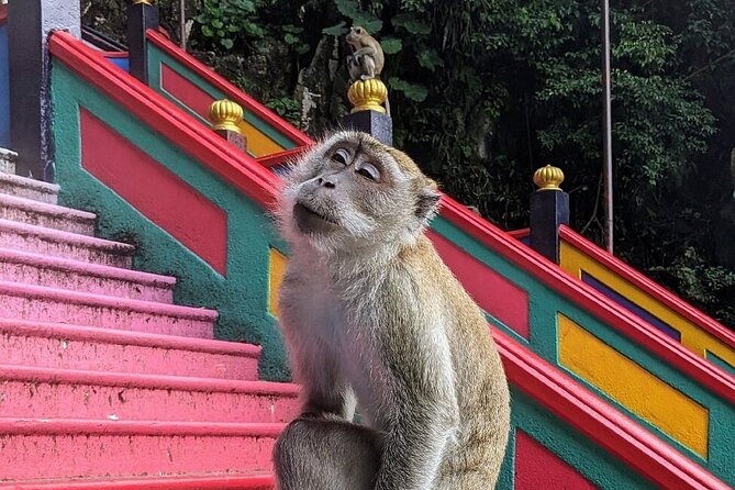 Batu Caves,Waterfalls and Hot Springs Tour With Lunch - Batu Caves and the 272-step climb