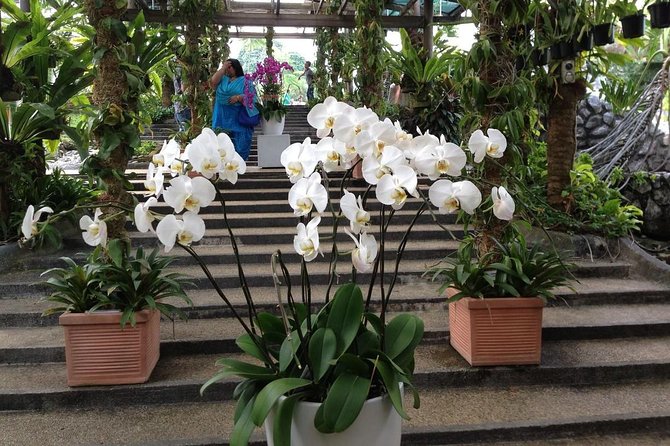 Bird Park & Butterfly Farm Nature Include All Entrance Tour From Kuala Lumpur - What the private vehicle changes