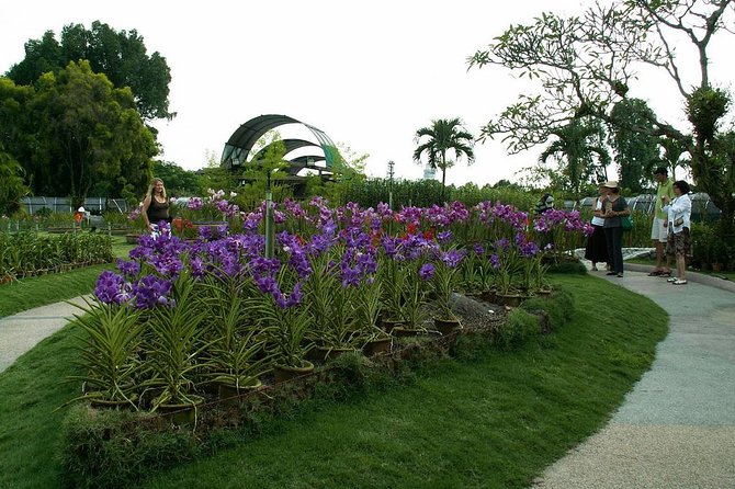 Bird Park & Butterfly Farm Nature Include All Entrance Tour From Kuala Lumpur - Butterfly Park: flowers, ferns, and quick-moving subjects