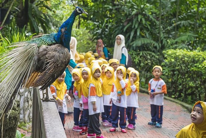 Bird Park & Butterfly Farm Nature Tour From Kuala Lumpur - What the $34 price really covers