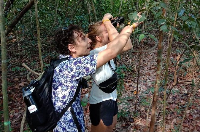 Birdwatching: Desaru's Winged Gems - The best and most realistic bird sightings