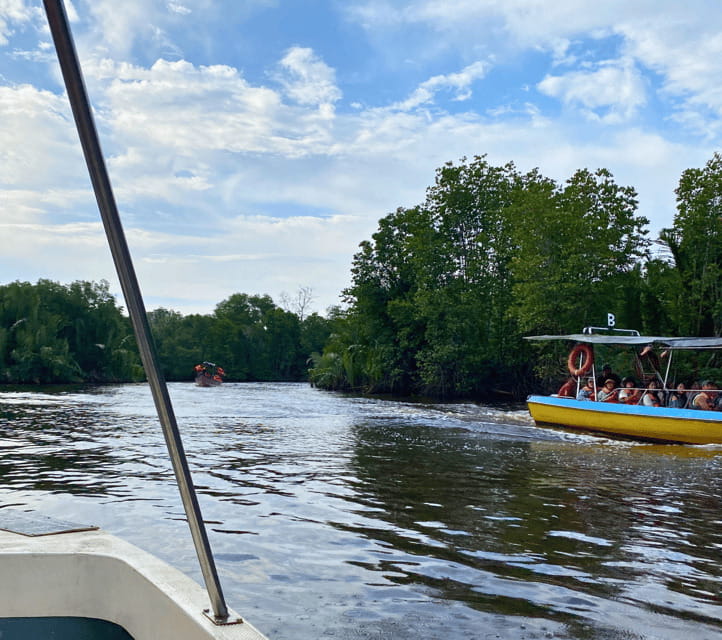 Bongawan River Cruise: Proboscis Monkey & Fireflies Mangrove - Watching proboscis monkeys from the river