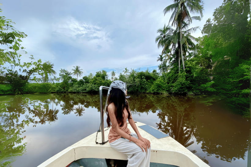 Bongawan River Cruise: Proboscis Monkey & Fireflies Mangrove - Dinner, tea, and a second boat ride after dark