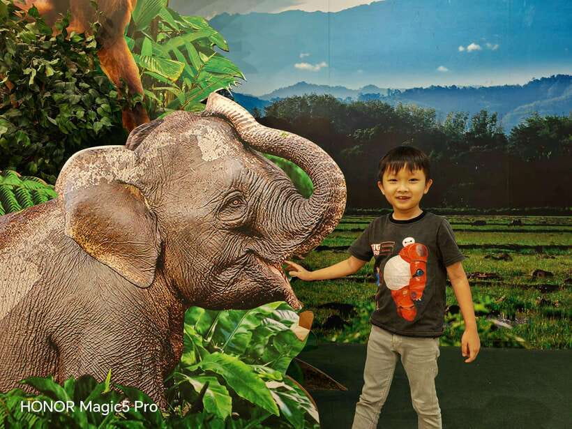 Bongawan River Cruise: Proboscis Monkey & Fireflies Mangrove - What $58 really covers
