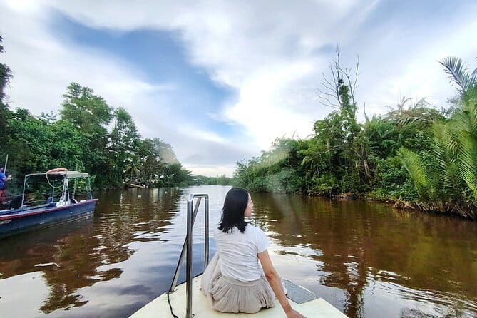 Bongawan River Cruise Proboscis Monkey, SkyMirror, Fireflies - The Floating Mosque stop