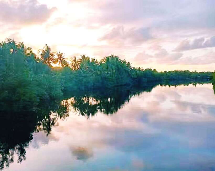 Bongawan Wetland: Proboscis Monkey and Fireflies Shared Tour - The optional Sabah Floating Mosque stop