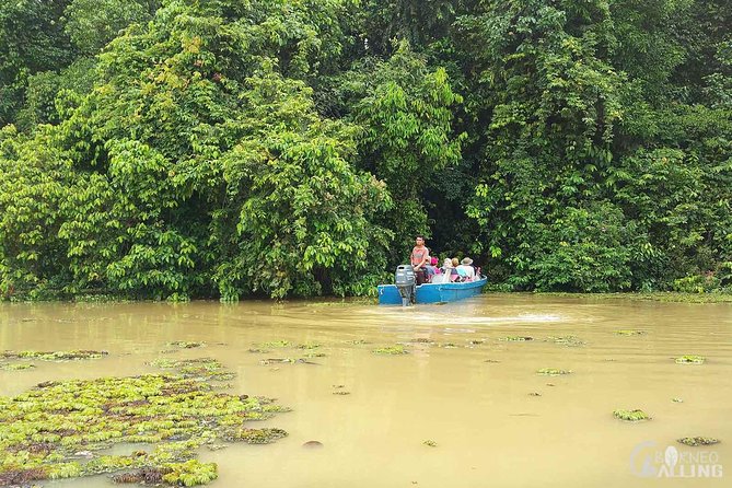 Borneo Kinabatangan River Cruise Day Trip - Dinner at a local lodge after the cruise