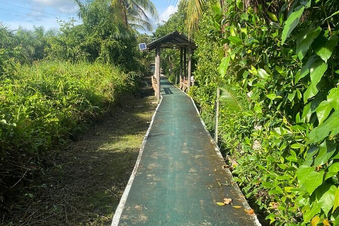Borneo (Klias) River Cruise & Fireflies Tour - Who will enjoy this day trip most