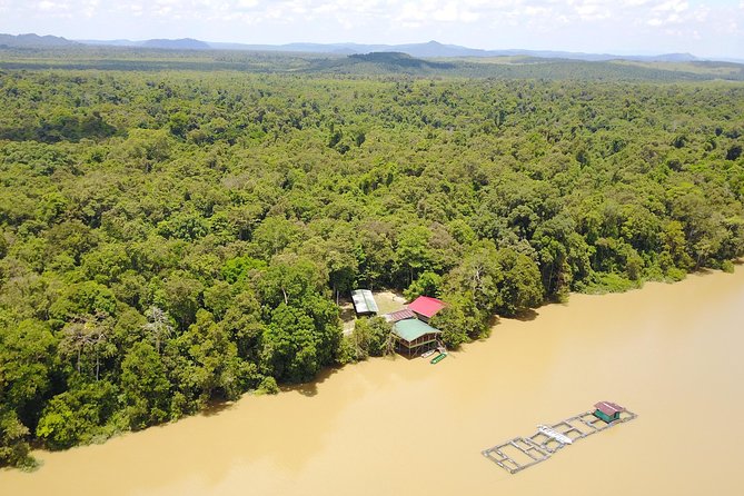 Borneo Wildlife Tour 2 Days 1 Night At Tanjung Bulat Jungle Camp Kinabatangan - The 4:30pm Kinabatangan wildlife cruise