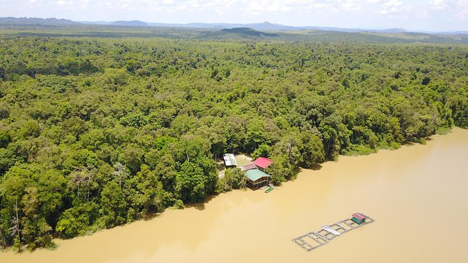 Borneo Wildlife Tour 3 Days 2 Nights At Tanjung Bulat Jungle Camp Kinabatangan - Wildlife chances, without false promises