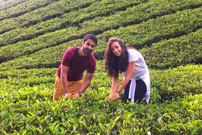 Cameron Highland Best Day Tour from Ipoh with Lunch ( Day Trip) - Kea Farm Market: produce, flowers, and small tastes