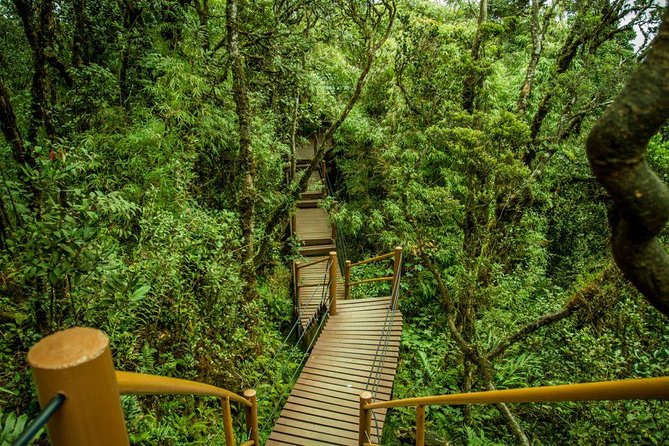Cameron Highland Day Tour from Kuala Lumpur - Vegetable farms and local markets