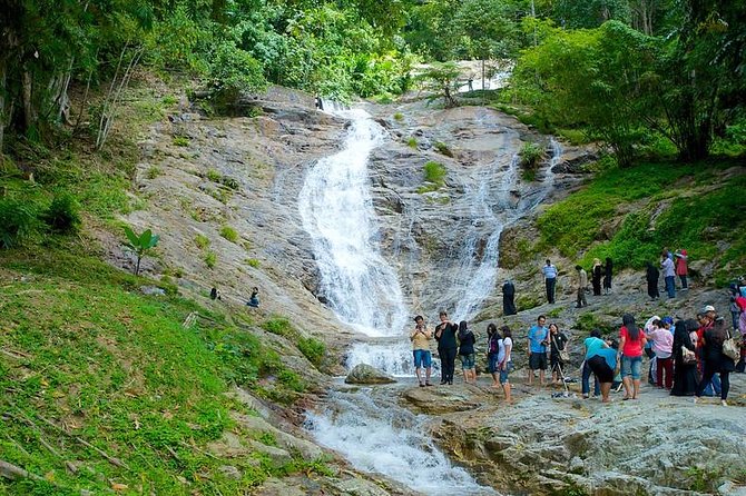 Cameron Highland Day Tour from Kuala Lumpur - Malaysian lunch and the value of the private format