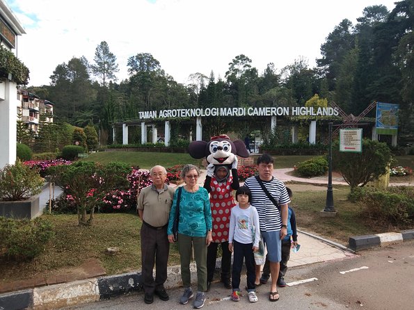 Cameron Highland Day Trip - Flexibility, private touring, and the Mossy Forest issue