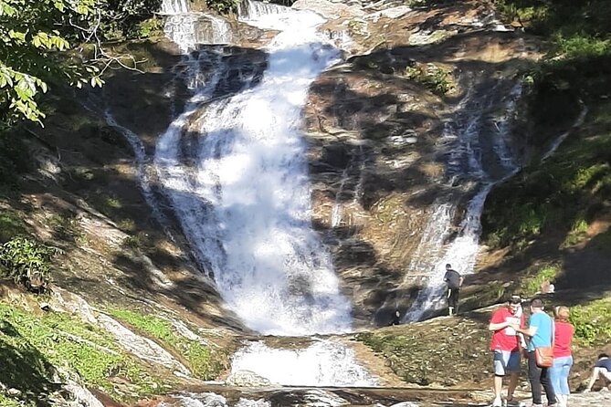 Cameron Highland Full Day Tour from KL City (Private) - How much value do you get for $112.50?