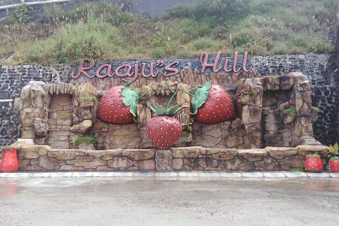 Cameron Highland Private Day Tour - Why Cameron Highlands works as a day trip from Kuala Lumpur
