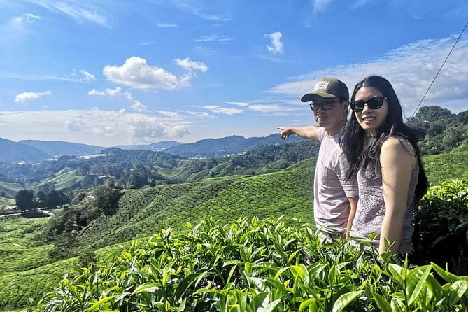 Cameron Highland Private Day Tour From Ipoh - Kea Farm Market and the working highlands